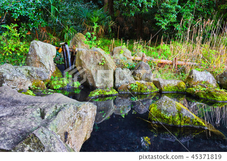 馬索城堡堡將軍公園生物群落池塘 45371819