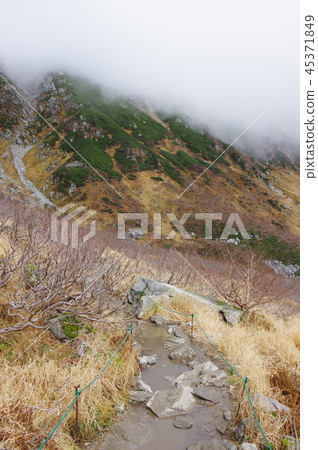 Senjojiki curl landscape 45371849