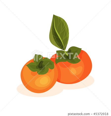 Flat vector icon of two ripe persimmons. Bright orange fruit with green leaf. Tasty food. Element Flat vector icon of two ripe persimmons. Bright orange fruit with green leaf. Tasty food. Element 45372018