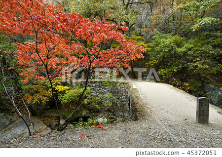 Sunbath Bridge, Sunam Temple, Jochyeongsan, Suncheon, Jeonnam Sunbath Bridge, Sunam Temple, Jochyeongsan, Suncheon, Jeonnam 45372051
