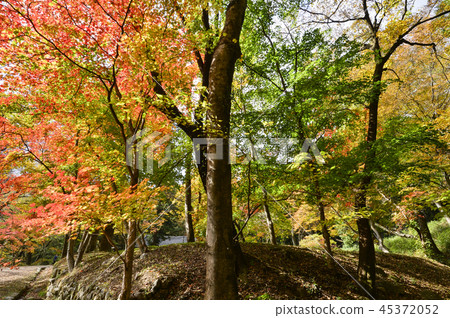 Sun-am Temple,Cho-gyeongsan,Suncheon-si,Jeonnam Sun-am Temple,Cho-gyeongsan,Suncheon-si,Jeonnam 45372052