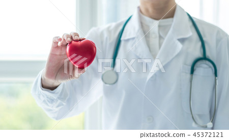 Cardiovascular disease doctor holding red heart 45372121