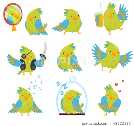 Flat vector set of parrot in different situations. Cute bird with bright green and blue feathers 45372125
