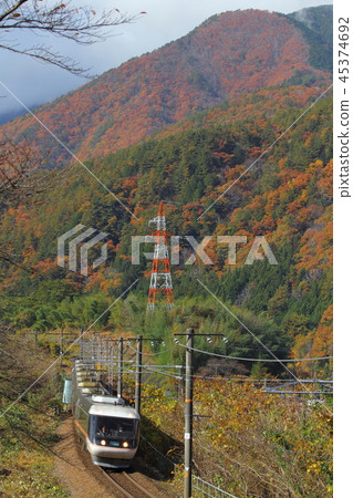 寬視野信濃(秋季母雞) 寬視野信濃(秋季母雞) 45374692