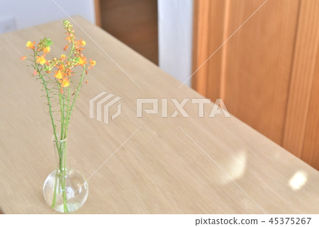 Flower of vase Vulvine fultescens 45375267