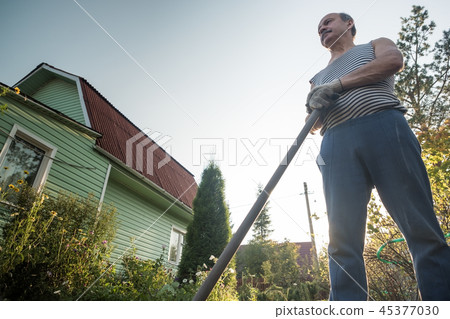 Mature man standing in his garden and resting Mature man standing in his garden and resting 45377030