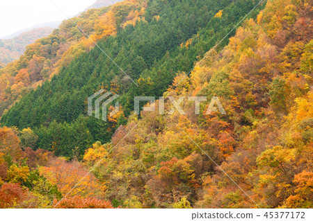 A brightly colored mountain A brightly colored mountain 45377172