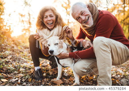 A senior couple with a dog in an autumn nature at sunset, having fun. A senior couple with a dog in an autumn nature at sunset, having fun. 45379284