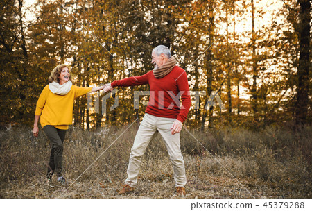 A senior couple on a walk in an autumn nature at sunset, holding hands. 45379288
