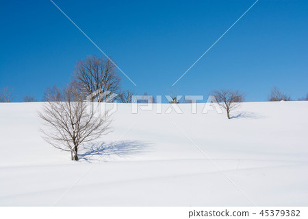 Snow hills and winter grove 45379382