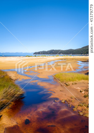 Abel Tasman National Park, New Zealand 45379779