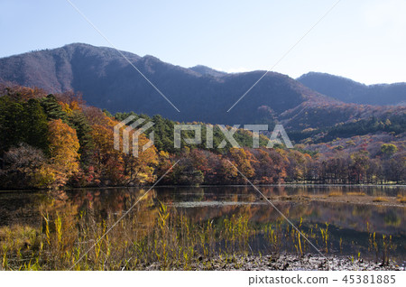 Kannon-numa森林公園在秋天 Kannon-numa森林公園在秋天 45381885