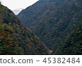 Iya山谷 45382484