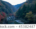 Iya山谷 45382487