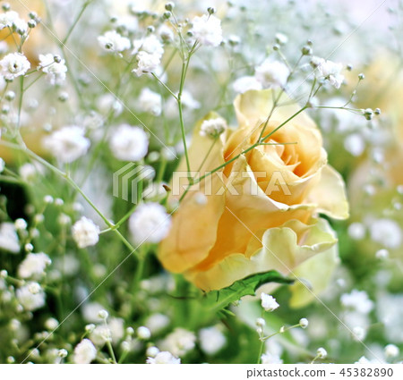 Beautiful bouquet of yellow roses and white little flowers with blur background Beautiful bouquet of yellow roses and white little flowers with blur background 45382890