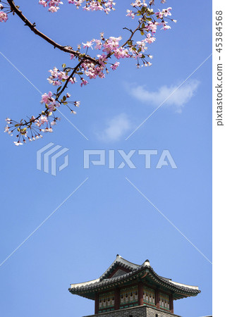 水原華城 45384568