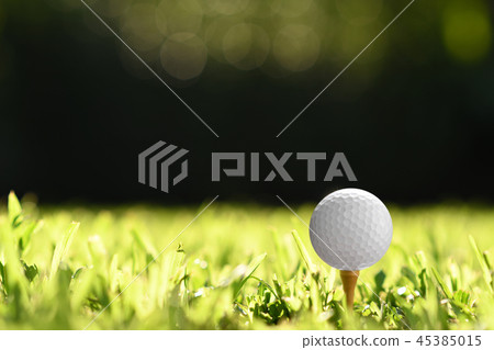 Golf Golf 45385015