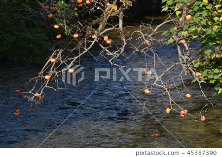 Late autumn scenery 45387390