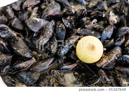 Mussels at fish market Mussels at fish market 45387649