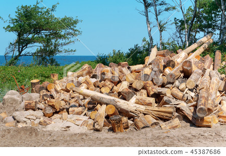 deforestation, felled trees, logging on the coast 45387686