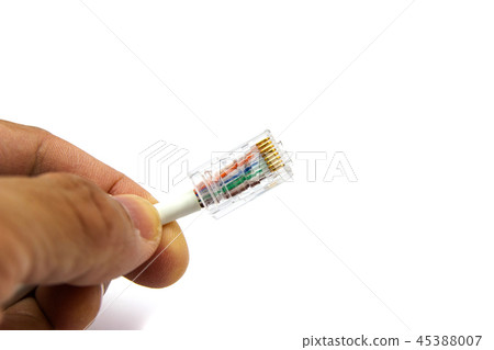 hand of man hold RJ45 Cable for use Network  45388007