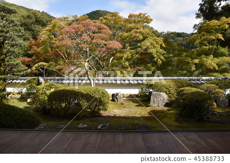 Kaiju Sanji Temple Honbo Garden 45388733