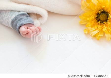The hand of a toddler with a flower 45388842