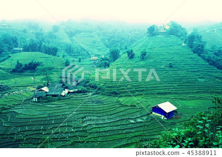 Sa Pa, vietnam, nature 45388911