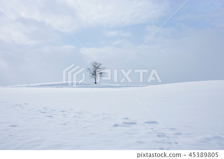 Japan, Hokkaido, Biei Town, Winter 45389805