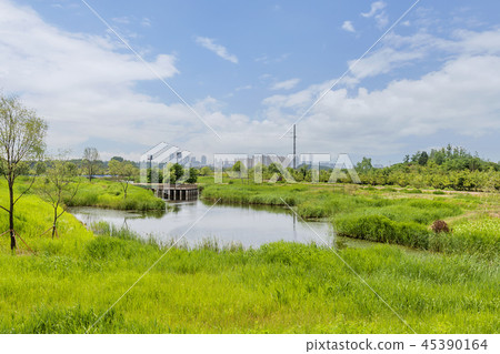 Incheon, Korea, Korea, Outdoor, Scenery, Incheon Dreamland Incheon, Korea, Korea, Outdoor, Scenery, Incheon Dreamland 45390164