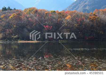 我去了Kannonnuma森林公園#51 我去了Kannonnuma森林公園#51 45390501