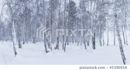 Russia, Baikal, Lake Baikal, Winter 45390938
