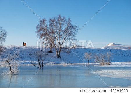 China, Inner Mongolia, Hongshan County, Weichang, Paesang, Winter China, Inner Mongolia, Hongshan County, Weichang, Paesang, Winter 45391003