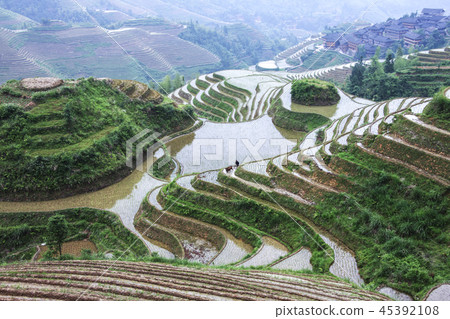 China, Guangxi Zhuang Autonomous Region, Longsheng China, Guangxi Zhuang Autonomous Region, Longsheng 45392108