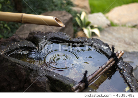 日本Tsubaiai 45393492