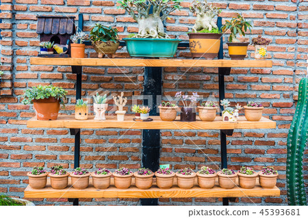 Small tree in beautiful pot decorate on wood shelf Small tree in beautiful pot decorate on wood shelf 45393681