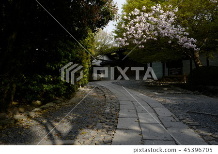 Kyoto Ryoanji 45396705