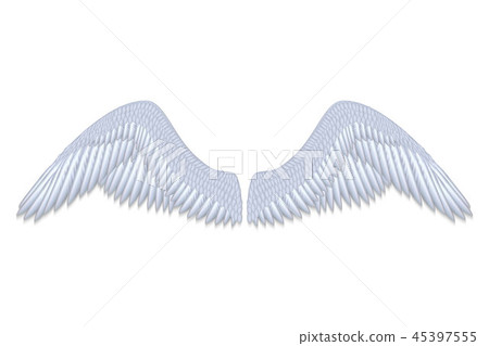 white angel wings white angel wings 45397555