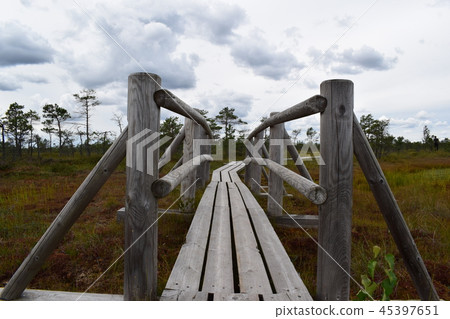 wooden flooring bridgein a swamp in a park Kemeri 45397651