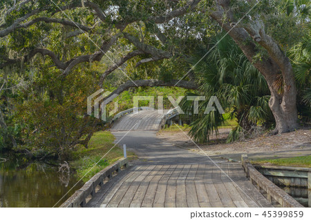 Wood bridge near Amelia Plantation in Nassau Count Wood bridge near Amelia Plantation in Nassau Count 45399859