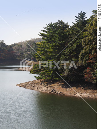 Nodake湖(長崎縣大村市:秋季假日季節) Nodake湖(長崎縣大村市:秋季假日季節) 45401988