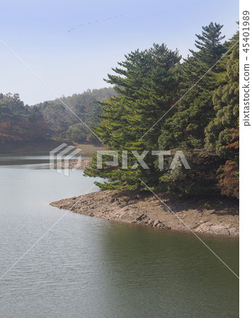 Nodake湖(長崎縣大村市:秋季假日季節) Nodake湖(長崎縣大村市:秋季假日季節) 45401989