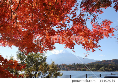 富士和秋葉 45402015