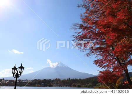 富士和秋葉 富士和秋葉 45402016