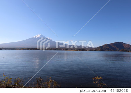 Fuji and autumn leaves 45402028