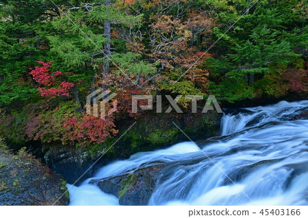 Scenery of autumn in the upper reaches of the waterfall of Oku Nikko Ryugan 45403166
