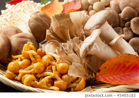 Assorted mushrooms 45403183