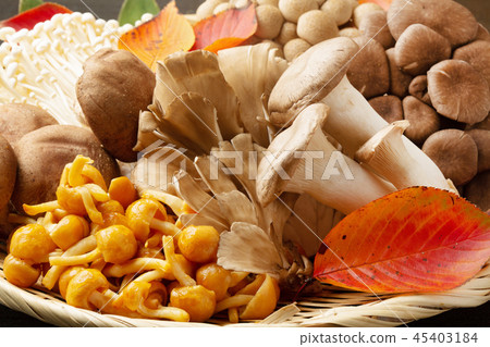 Assorted mushrooms Assorted mushrooms 45403184