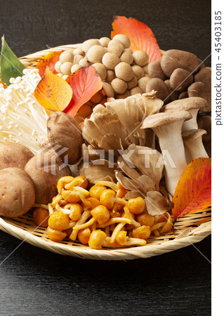 Assorted mushrooms 45403185