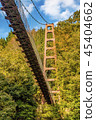 Autumn sky and suspension bridge and forest 45404662